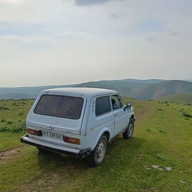 Niva  1981yil propan — 5