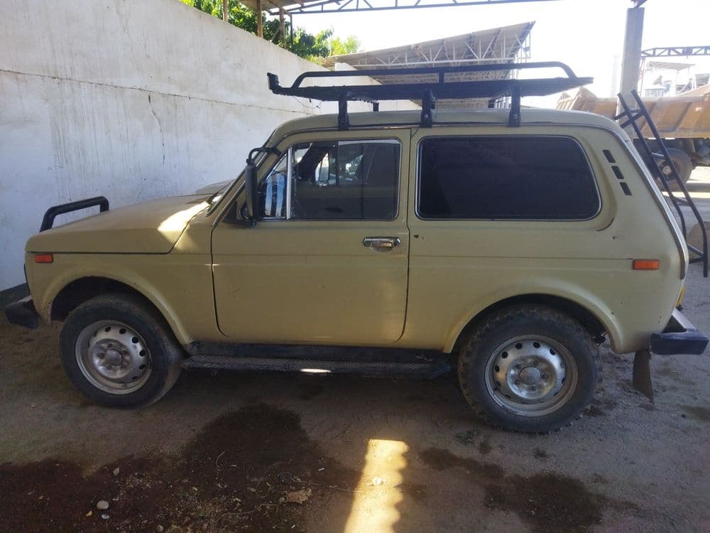 Niva xolati yaxshi — 2