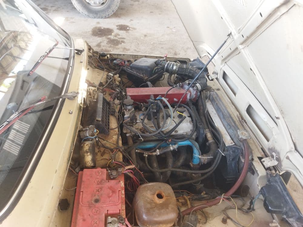 Niva xolati yaxshi — 8