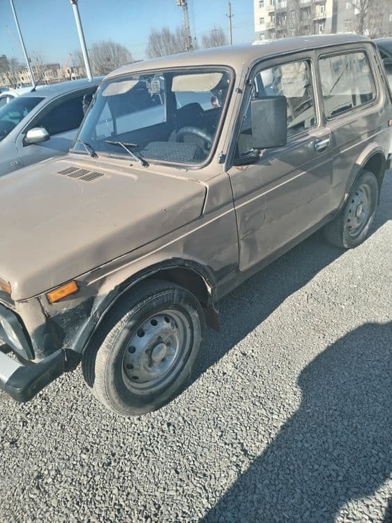 Niva 2121  antifirizda — 3
