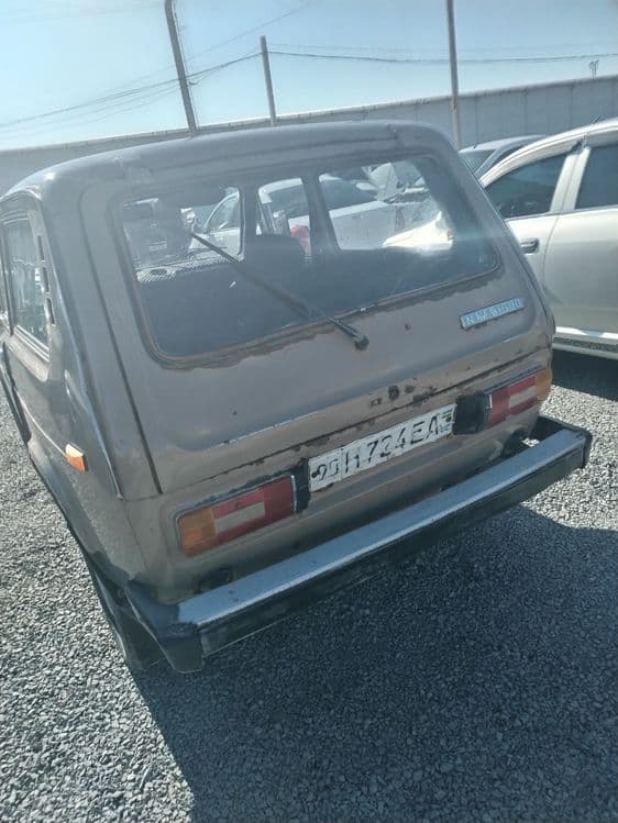 Niva 2121  antifirizda — 6