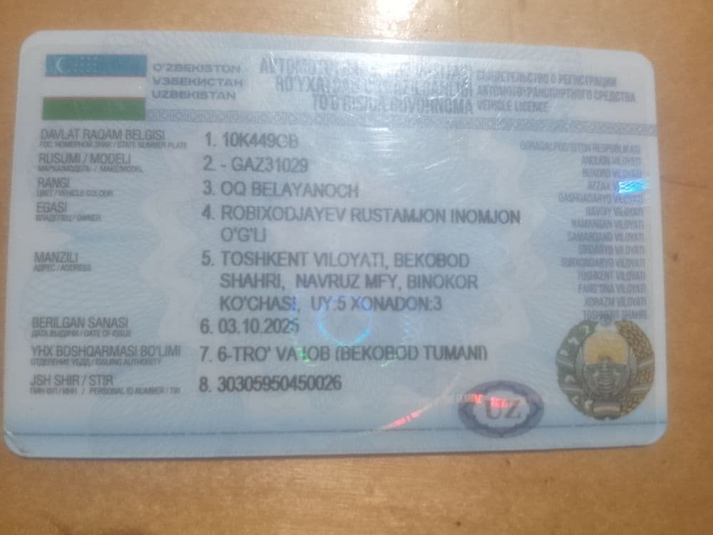 Volga31029 pikap — 2