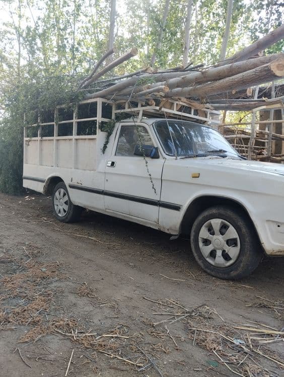 Volga pikap 1998 — 6