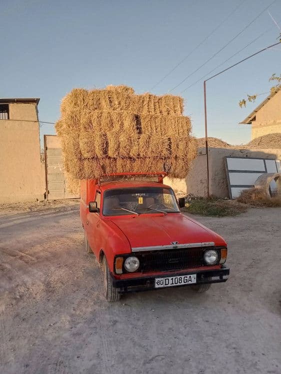 Moskvich prashkavoz 1982yil — 5