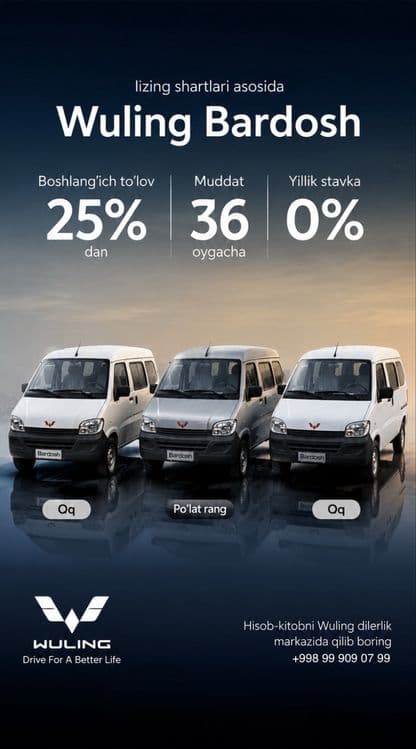 Wuling Bardosh Yangi — 1