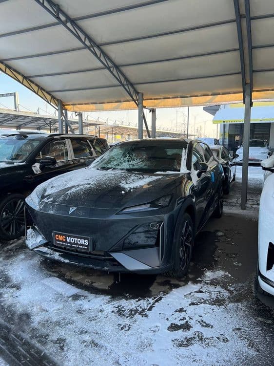 Changan depal s07 215max — 2