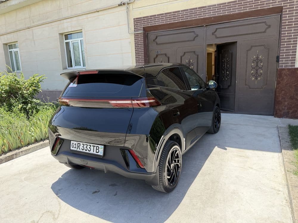 Byd seagull sotiladi
