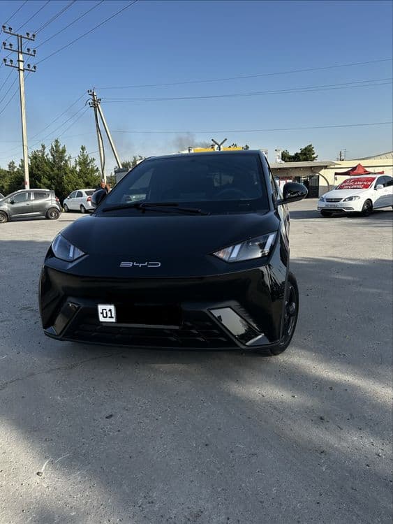 Byd Seagull SOTILADI — 1