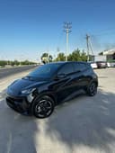 BYD seagull 2023 yil arenda