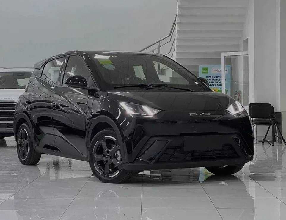Byd Seagull Naxt va Xalol Nasyaga — 1