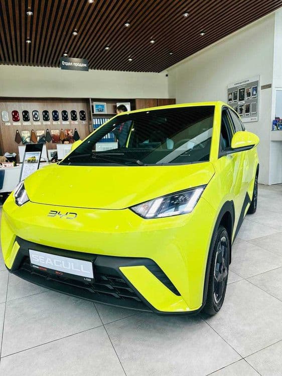 BYD SEAGULL EV 405 km FLYING Yakkasaroy — 1