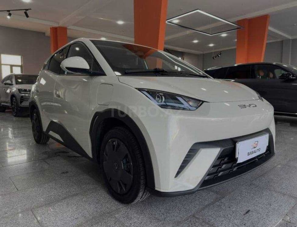 BYD Seagull pod zakaz — 1