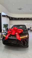 BYD Yuan Up 2025