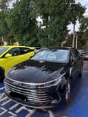 Byd chazor kraska radnoy