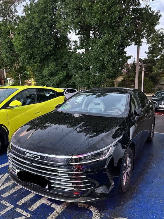 Byd chazor kraska radnoy — 1