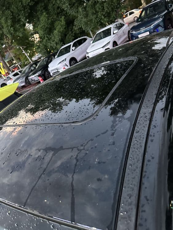 Byd chazor kraska radnoy — 4
