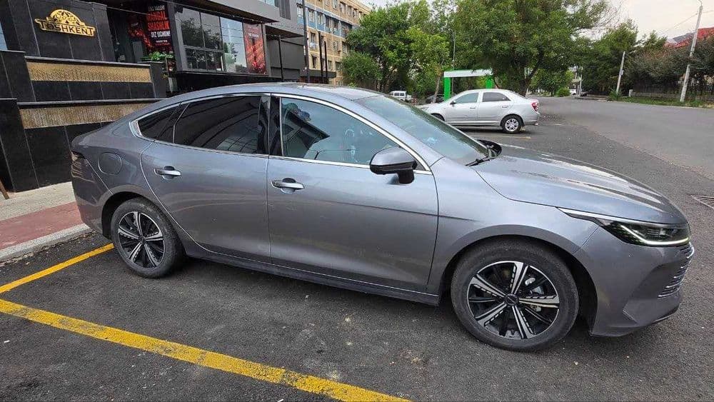 BYD Chazor 120km — 5