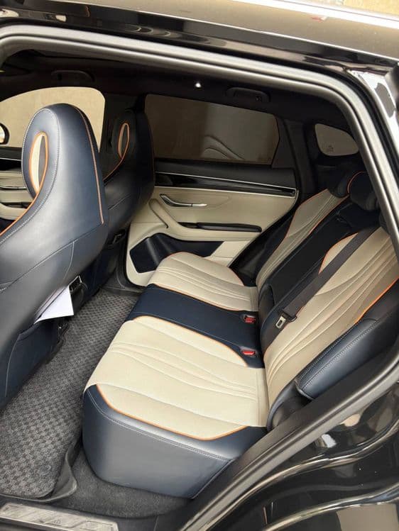 Byd song plus flagship — 4