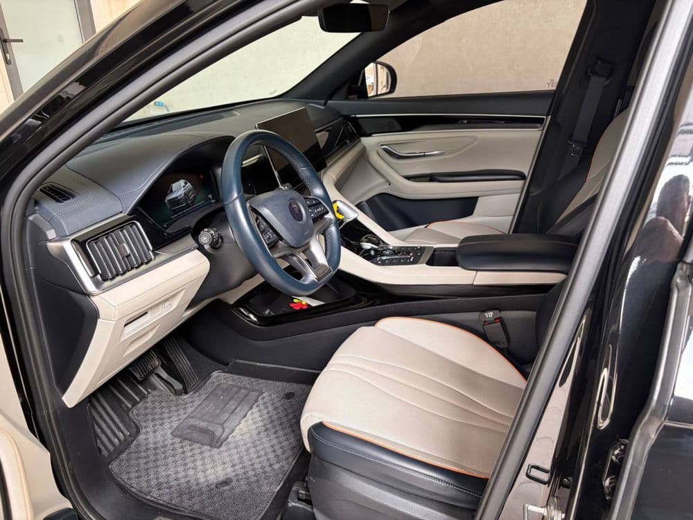 Byd song plus flagship — 5