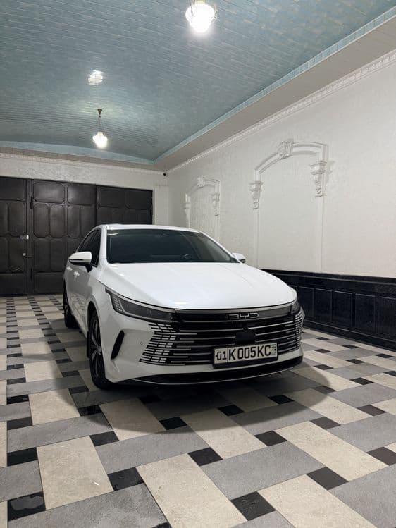 BYD chazor flagship 120 km — 3