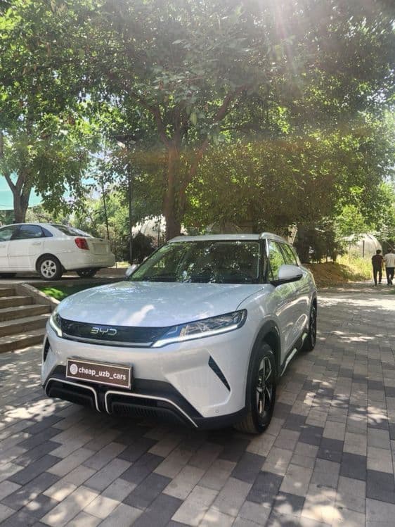 BYD Yuan Up  2025 yil — 1