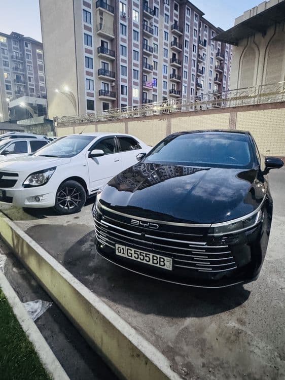 Byd chazor srochna — 1