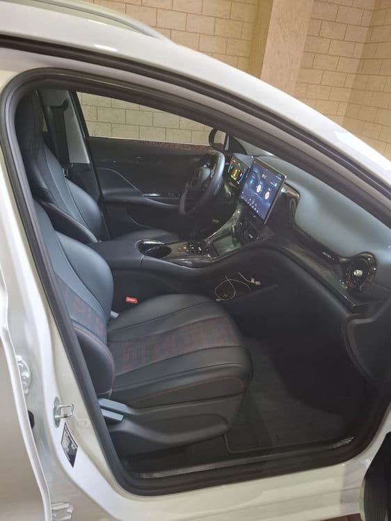 BYD E 2 LUXE 405 Ресталинг — 6