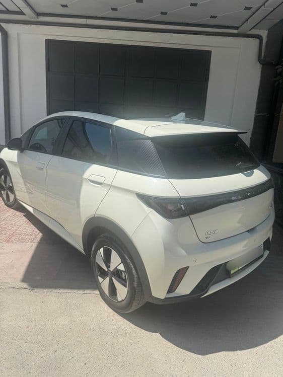 BYD Delphine elektro kar дельфин — 1