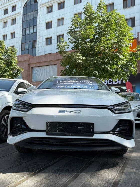 Byd e2 luxury 2025 — 2