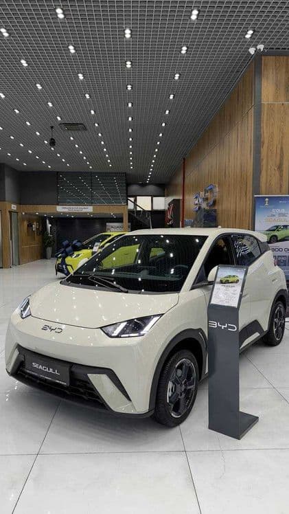 Minimal foizlar bilan kreditga BYD Seagull 2026 — 1