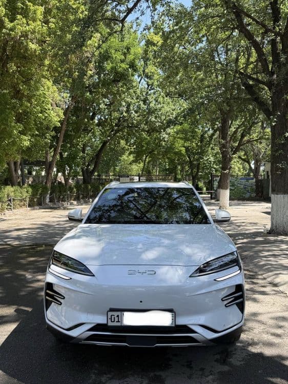 Byd Champion Рестайлинг 605км 23500$ — 1