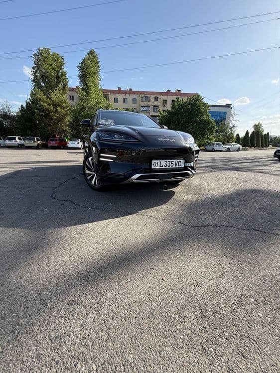 Byd champion 605 km — 1