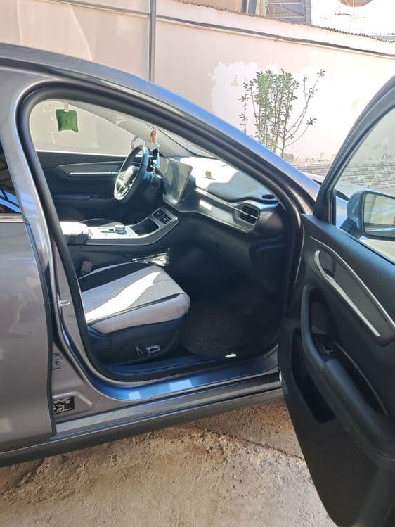 BYD Chazor 2025 гибрид full flagship — 5