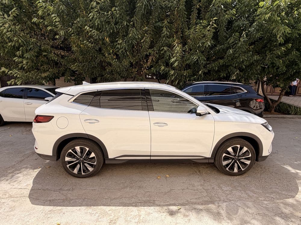 Byd Champion 605км 23500$ — 3