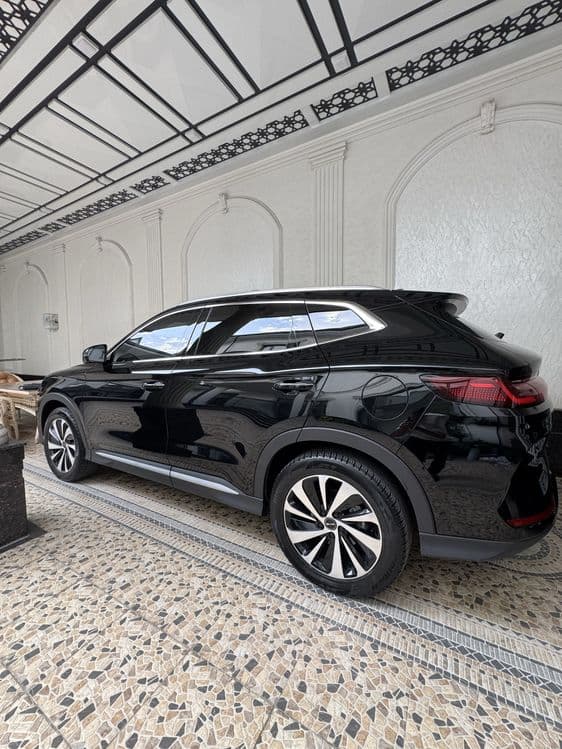 Byd chempion honor — 3