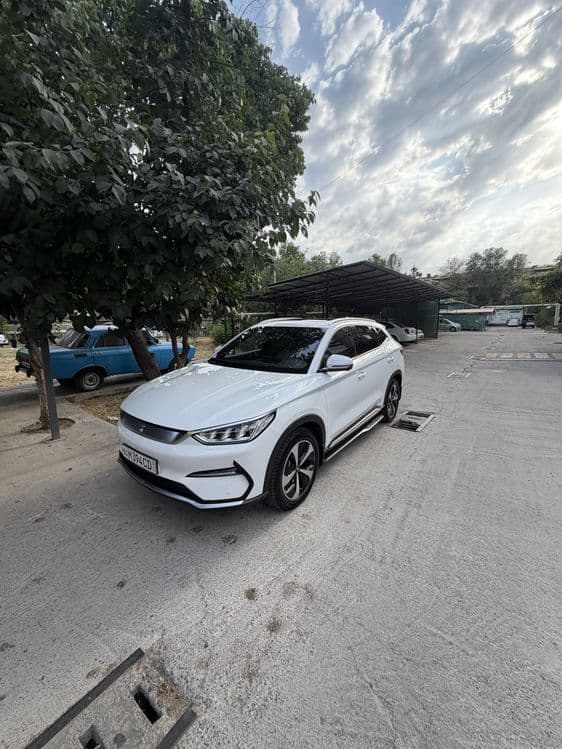 BYD song plus flepship — 1
