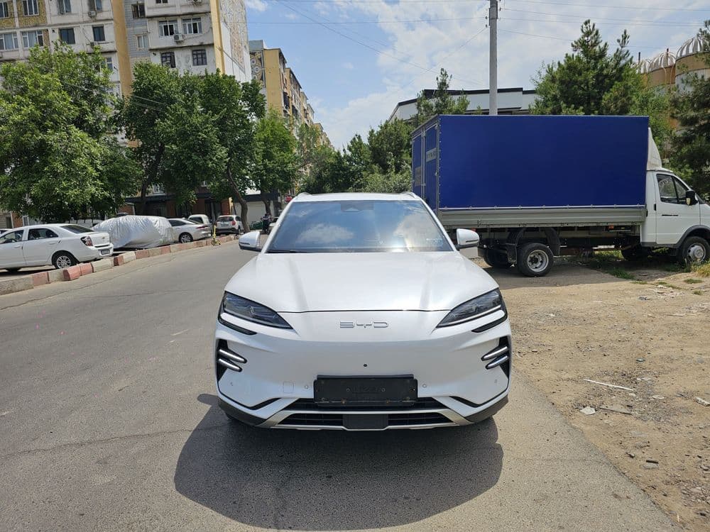 Byd Champion 605 — 1