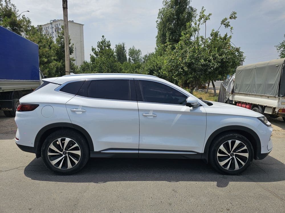 Byd Champion 605 — 2