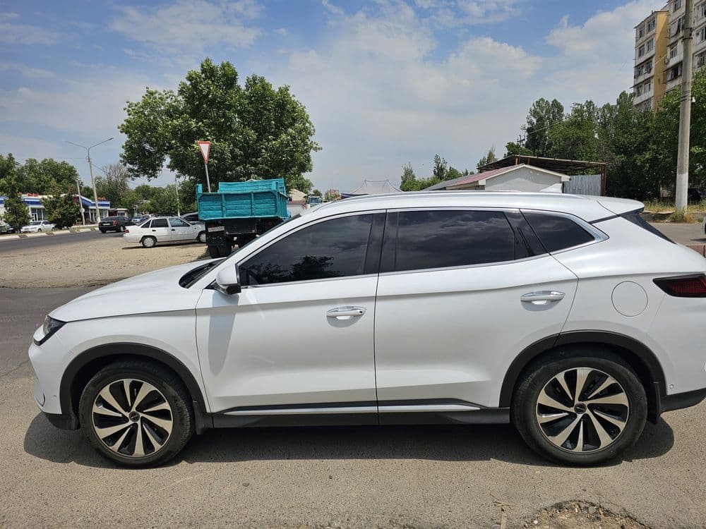 Byd Champion 605 — 3