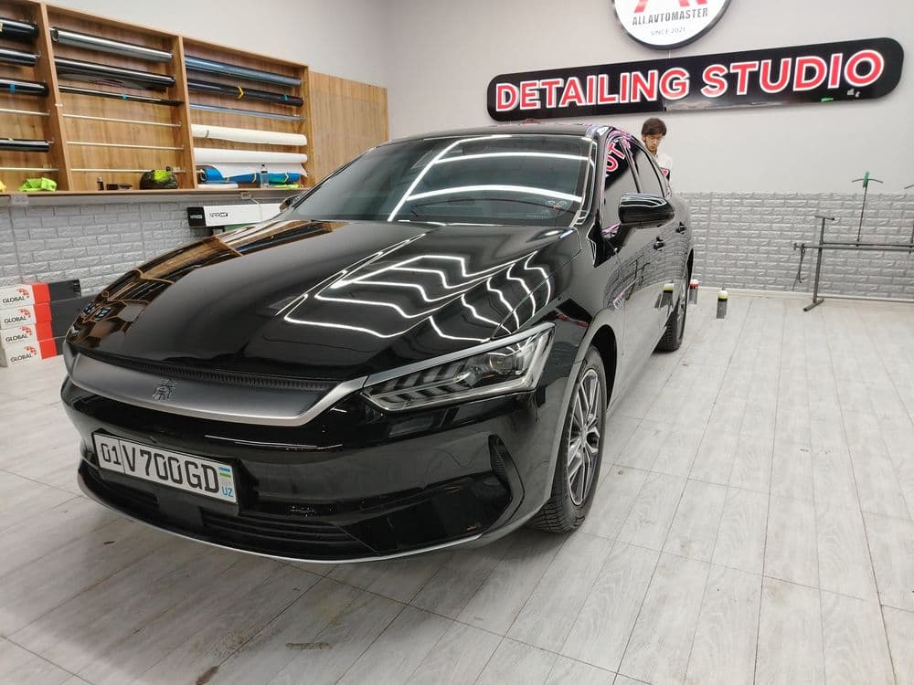 Byd Qin plus 2024 год — 2