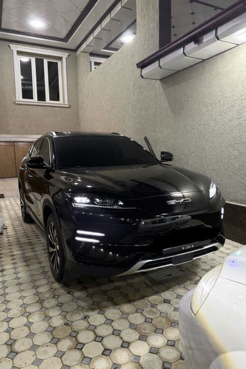 BYD chempion EV 520km — 2