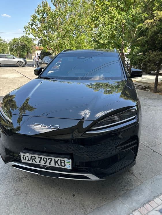 Byd chepiyon 605 — 1