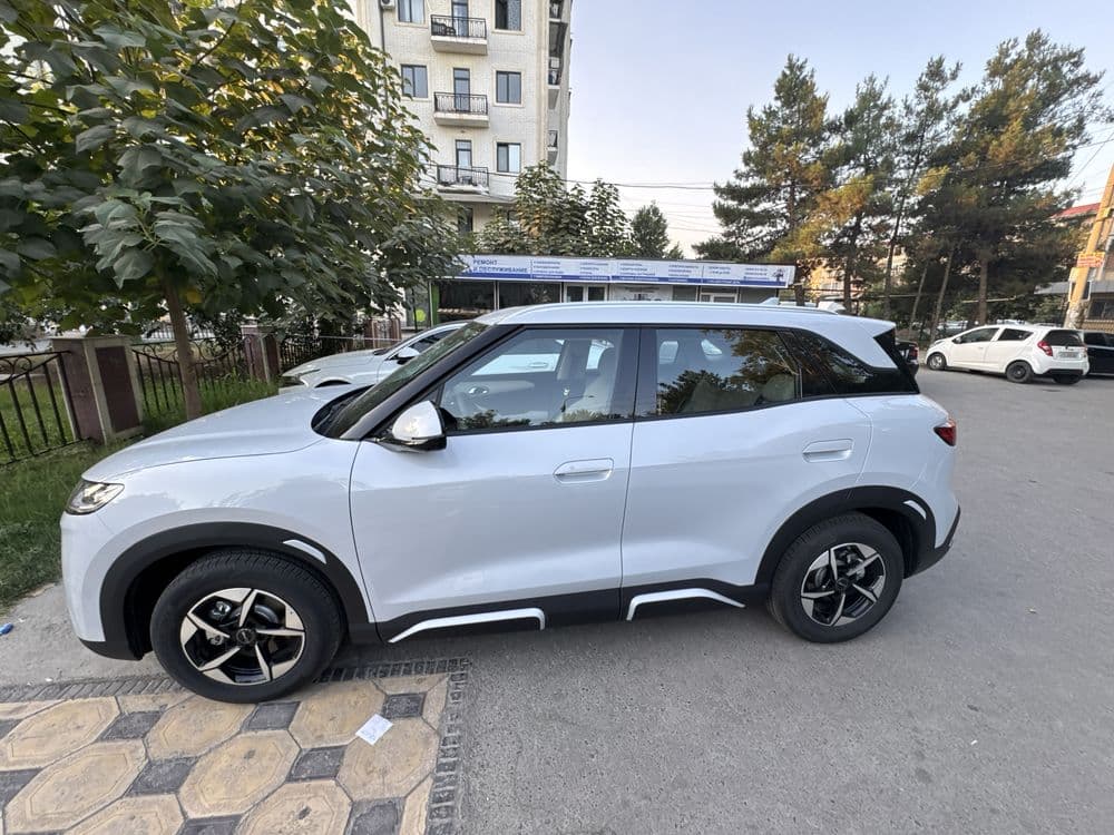 Byd yuan up 2025 afitsalniy garaniyali — 1