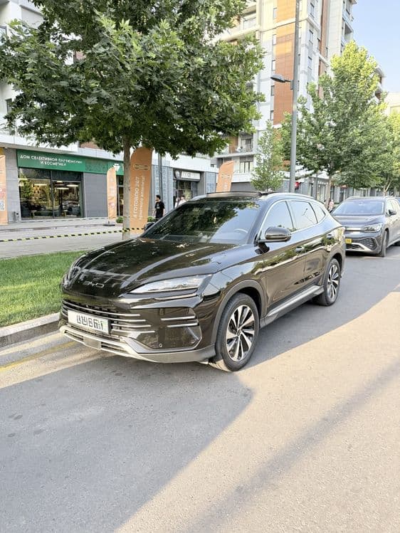 Byd Champion Gibrid 150 Full — 2