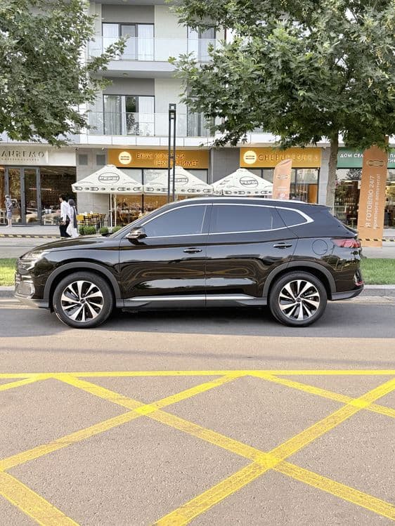 Byd Champion Gibrid 150 Full — 3