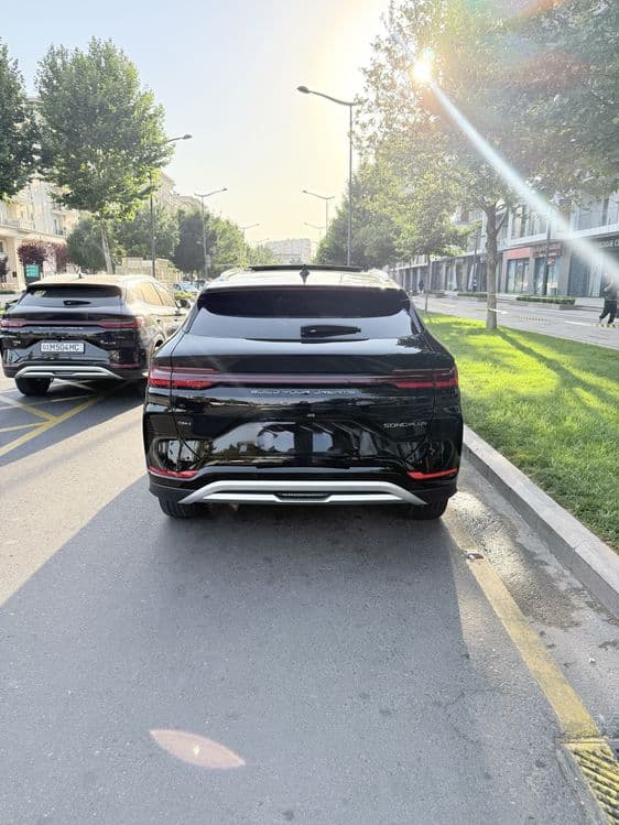 Byd Champion Gibrid 150 Full — 5