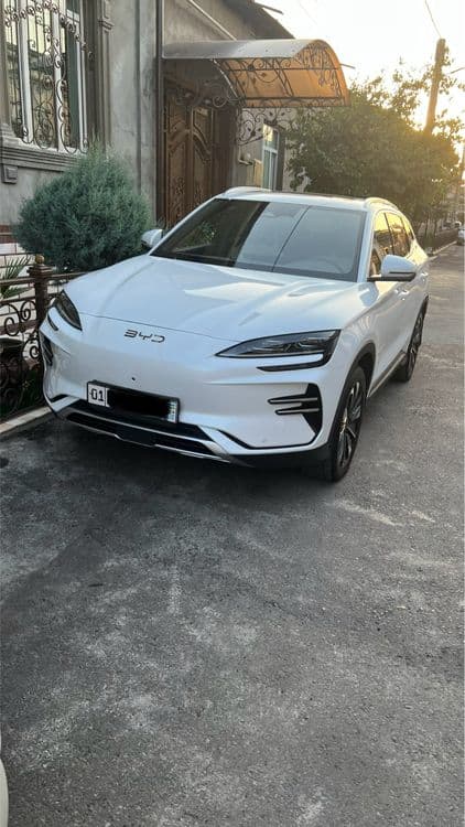 Byd champion 605 — 1