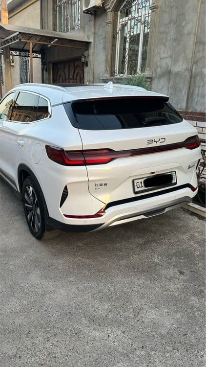 Byd champion 605 — 2