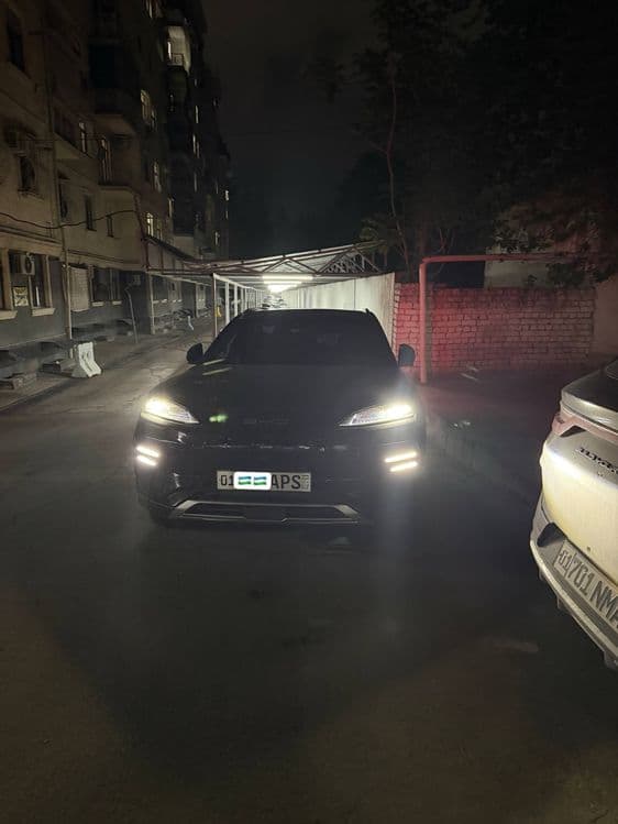 Byd champion 605 honor — 1