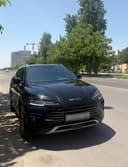 Гибрид BYD чемпион 110 тали